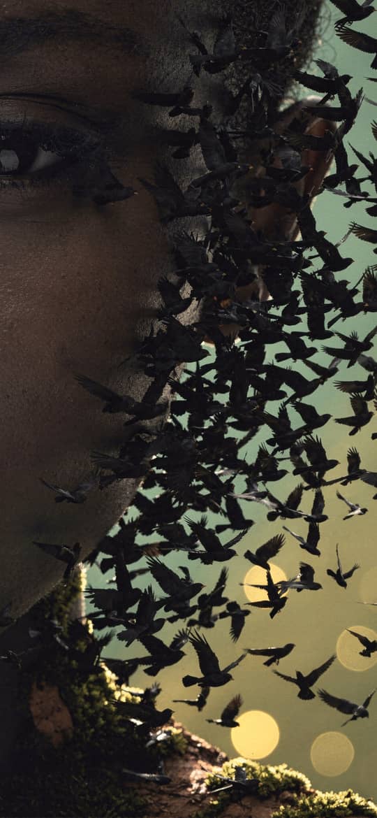 Woman's Face Merging with Flock of Birds
