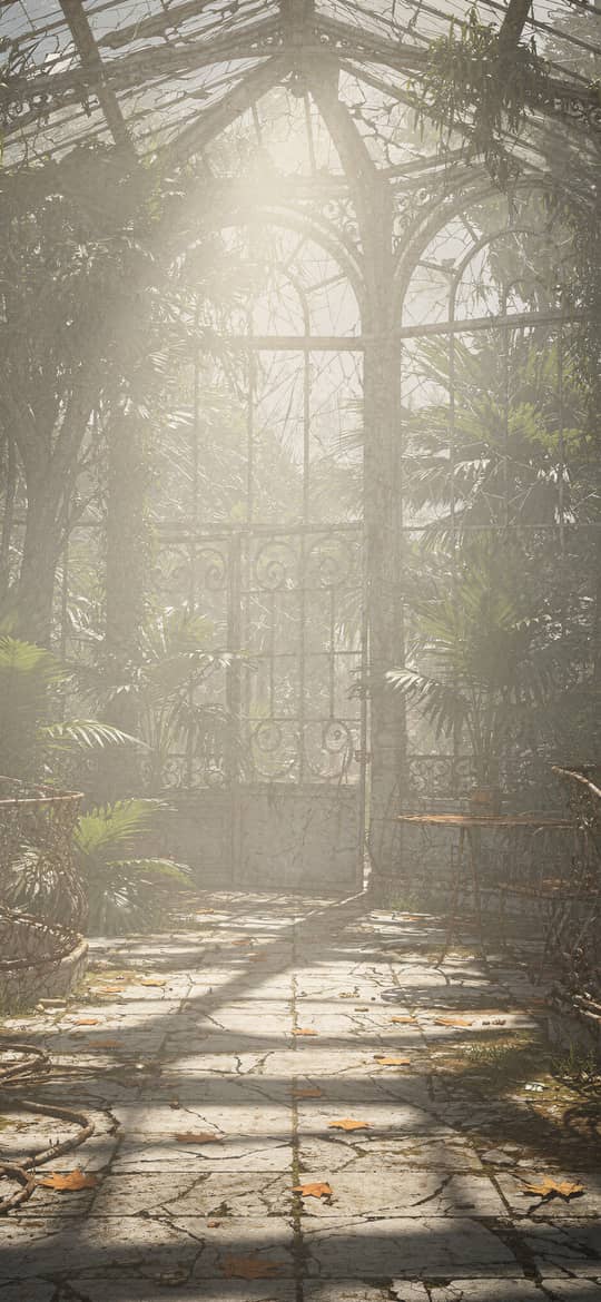 Sunlit Overgrown Greenhouse Stone Path