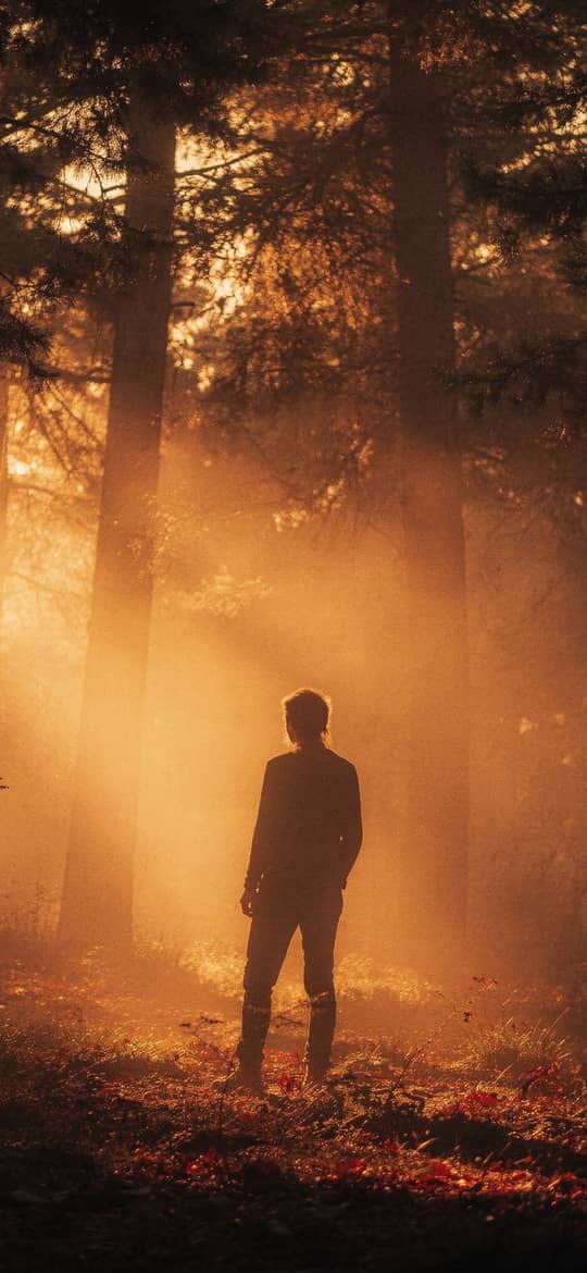 Man in Golden Misty Forest Sunbeams