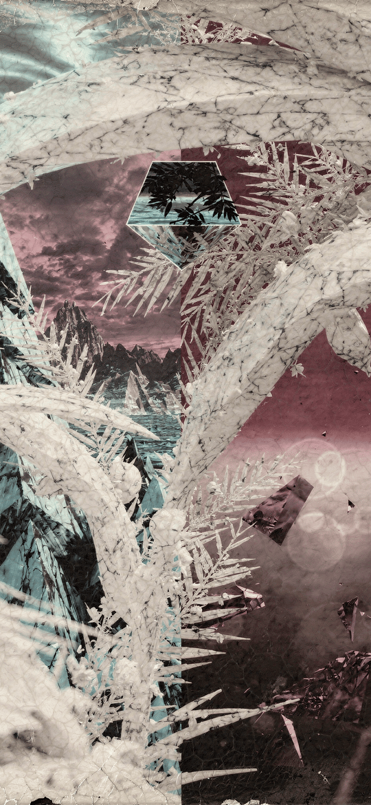 Frosted Palms Over Frozen Mountain Lake
