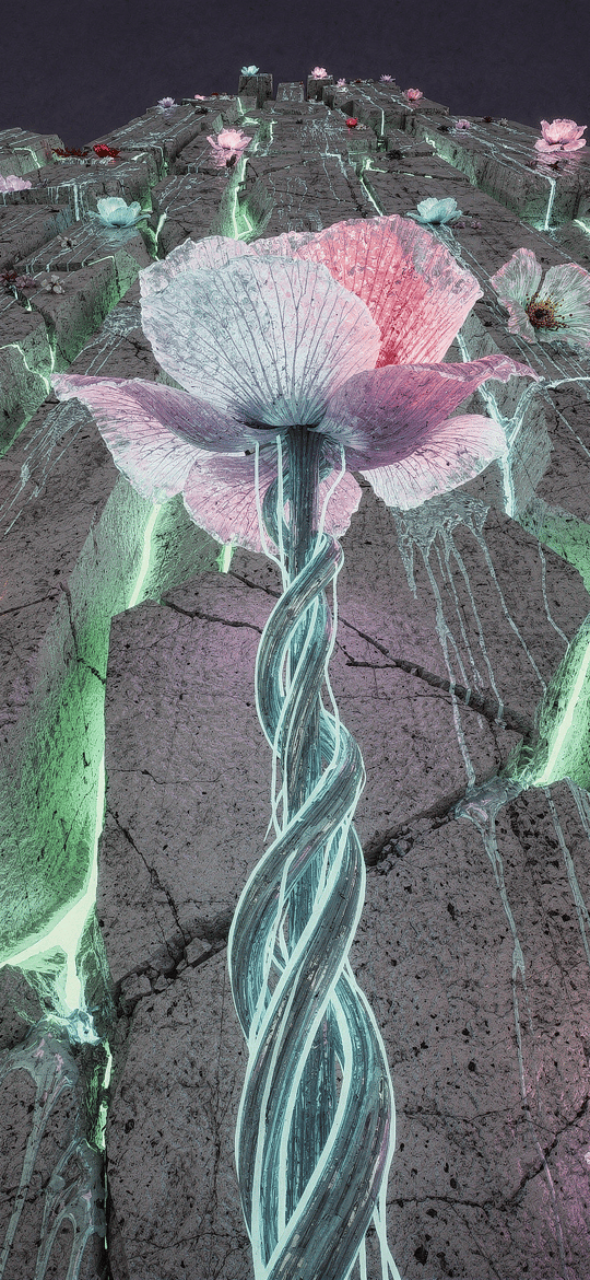 Pink Flower with Twisted Stem on Cracked Stone