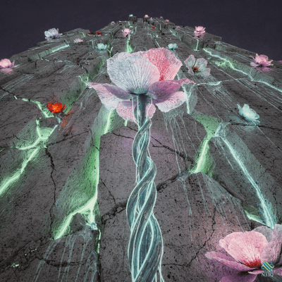 Pink Flower with Twisted Stem on Cracked Stone