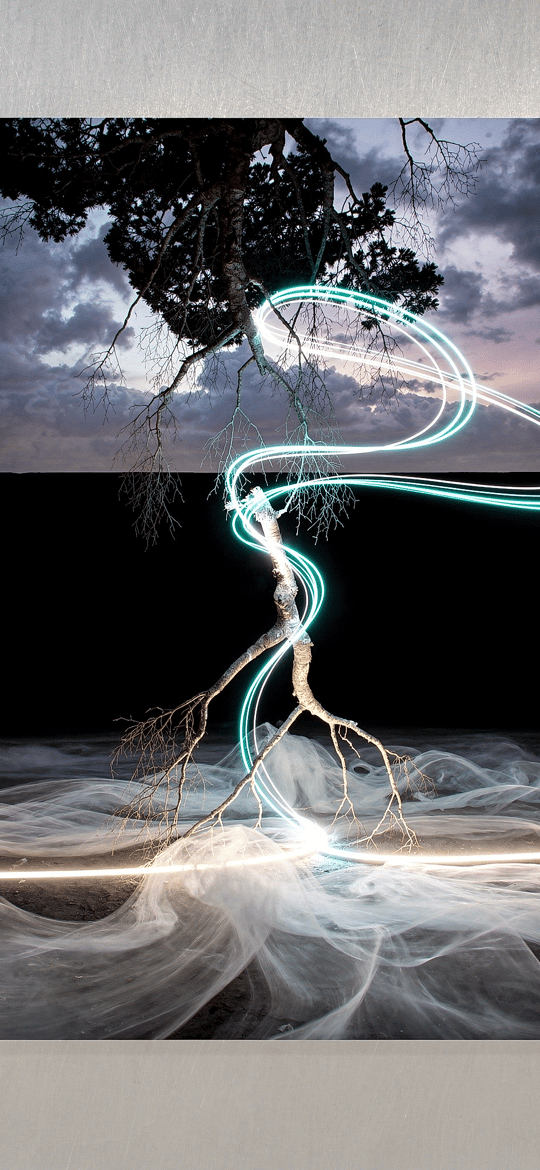 Glowing Teal Light Trail Through a Hanging Tree