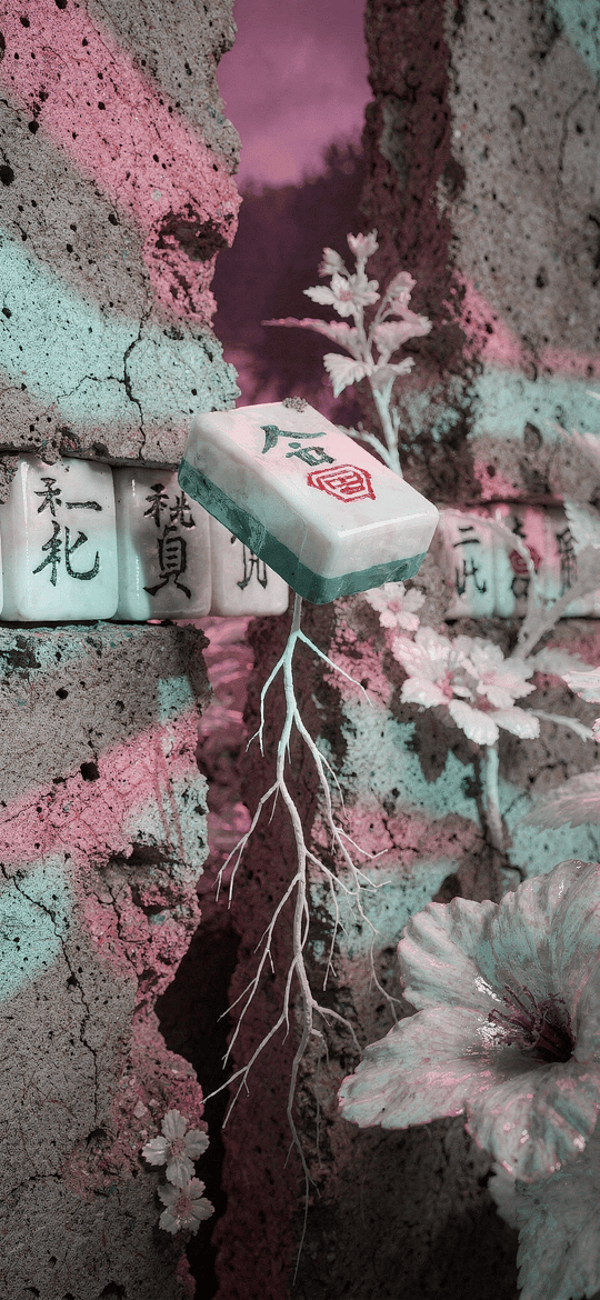 Mahjong Tiles in a Cracked Wall with Pale Flowers